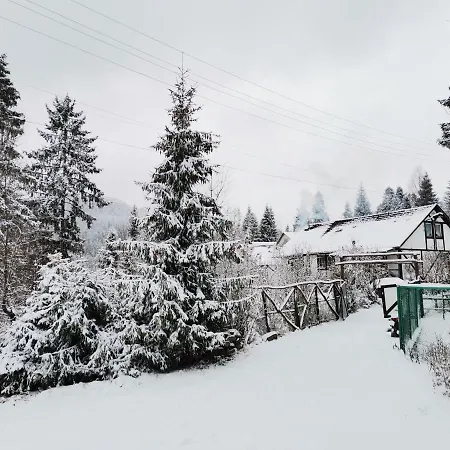 Деревянный коттедж біла