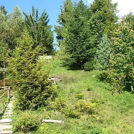 біла Verkhne-Studenyy