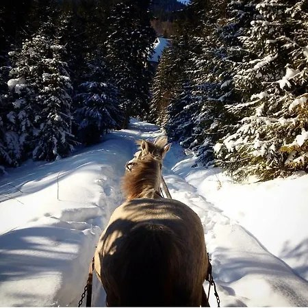 Lodge біла Verkhne-Studenyy