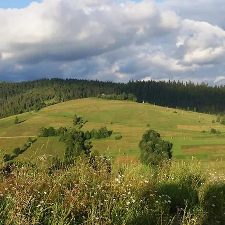 біла * Verkhne-Studenyy