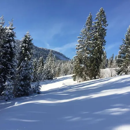 біла * Verkhne-Studenyy