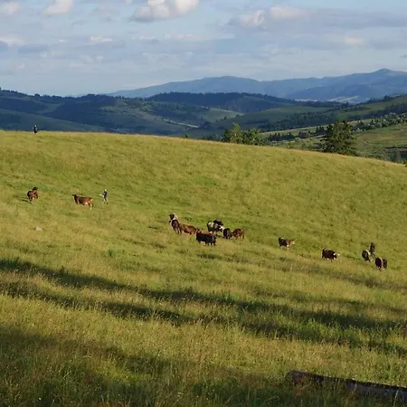 Lodge біла Verkhne-Studenyy