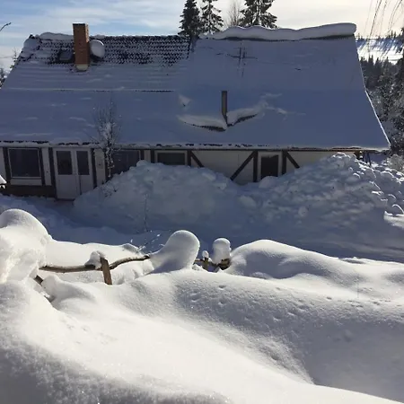 Lodge біла *