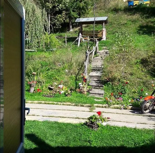 Lodge біла