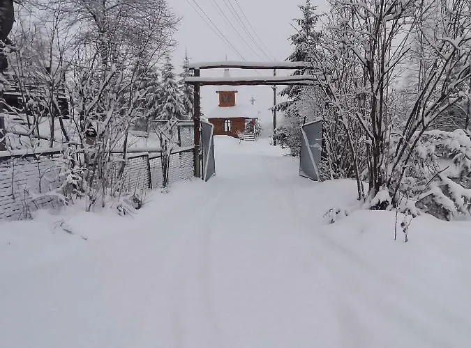 біла *