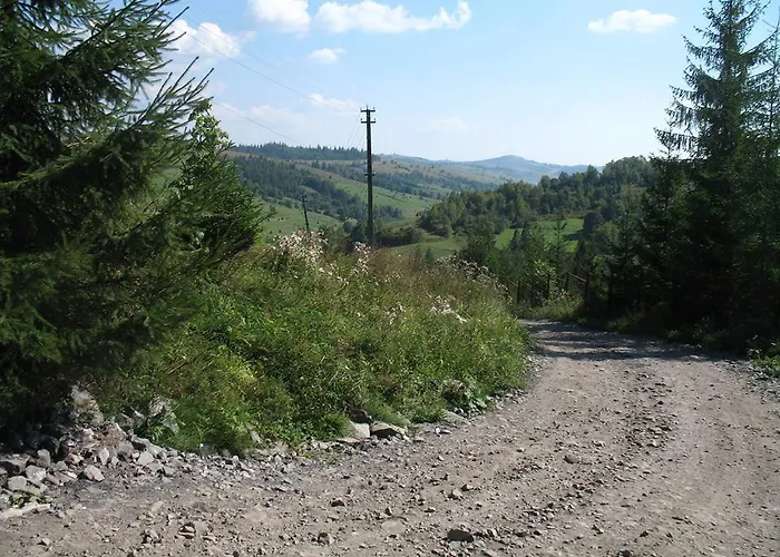 біла *