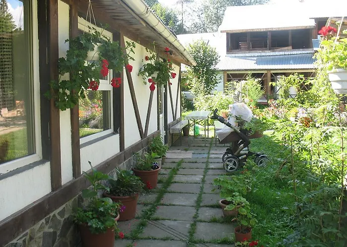 біла Lodge *