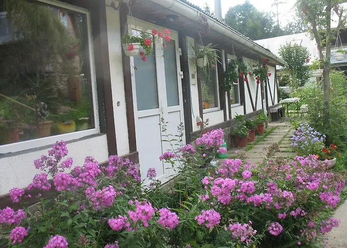 біла Lodge