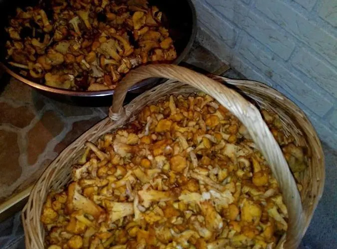 біла *